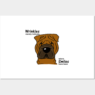 Shar Pei - Wrinkles and Smiles Posters and Art